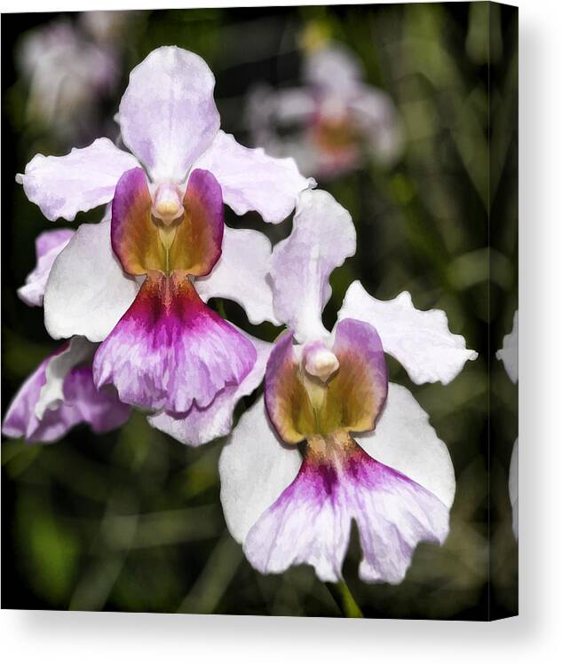 Flowers Canvas Print featuring the digital art Twin Orchids by Ray Shiu