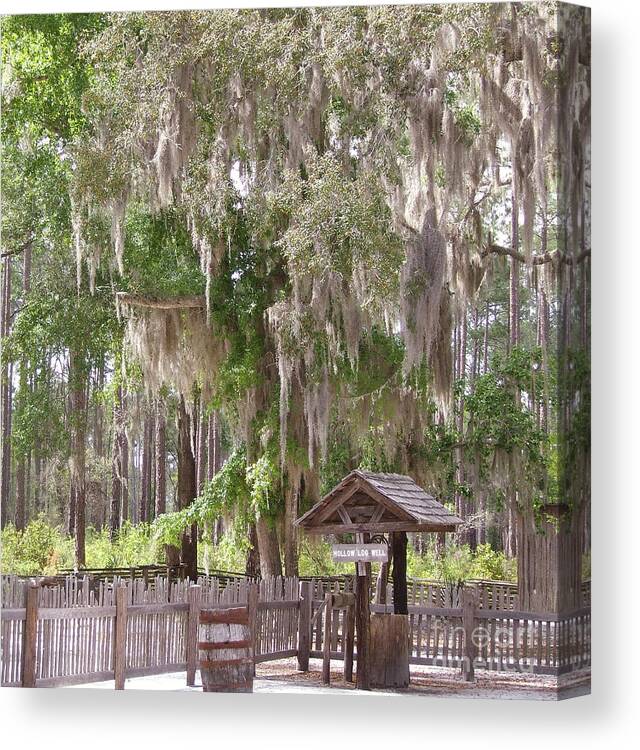 Well Canvas Print featuring the photograph Water well by Andrea Anderegg