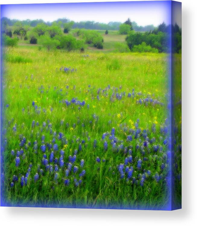 Bluebonnets Canvas Print featuring the photograph Bluebonnet Dreams by Carla Parris