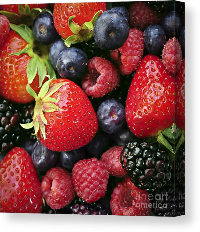 Berry Canvas Print featuring the photograph Fresh berries by Elena Elisseeva