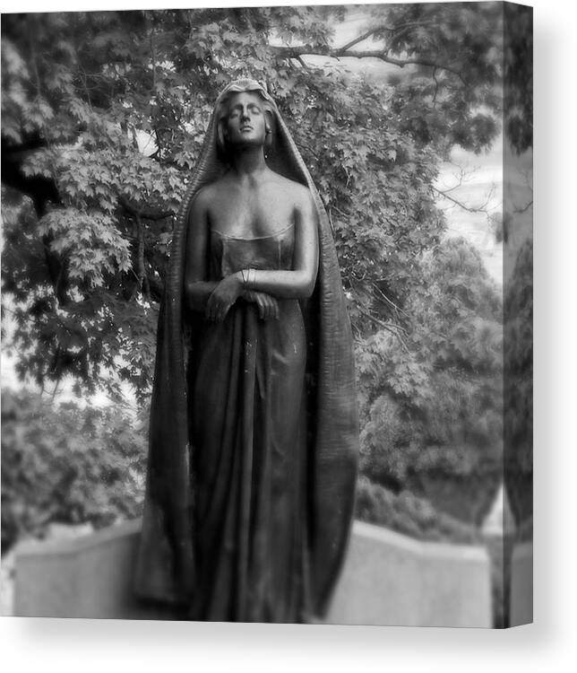 Trees Canvas Print featuring the photograph The Veild Lady by Felix Concepcion