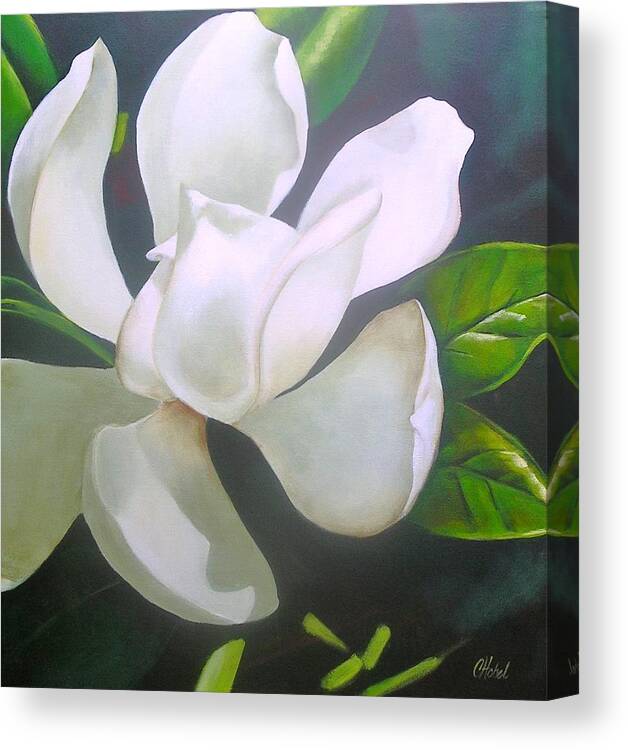 Magnolia Canvas Print featuring the painting Magnolia Delight Painting by Chris Hobel