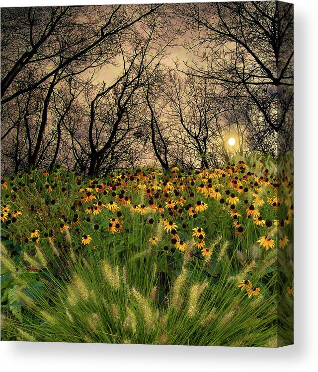 Trees Canvas Print featuring the photograph 4209 by Peter Holme III