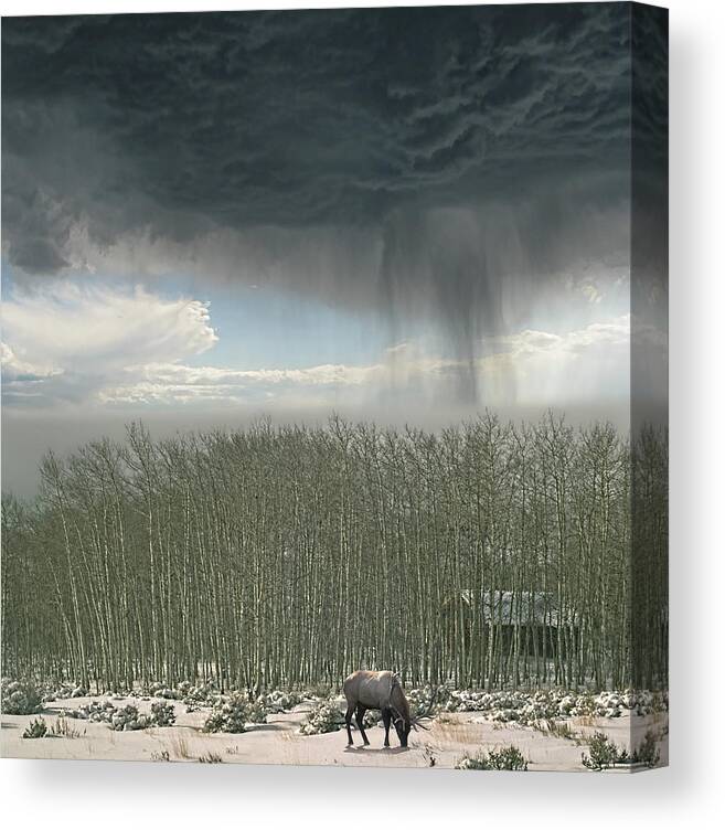 Animal Canvas Print featuring the photograph 4375 by Peter Holme III