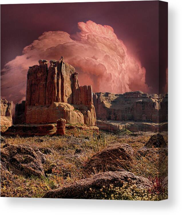 Rocks Canvas Print featuring the photograph 4417 by Peter Holme III
