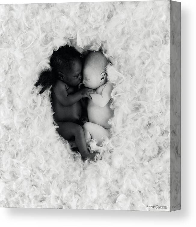 Black And White Canvas Print featuring the photograph Angels by Anne Geddes