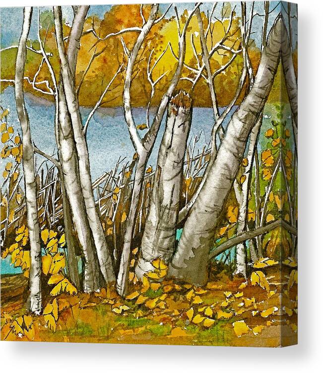 Landscape Canvas Print featuring the painting Broken Birch by Lynn Babineau