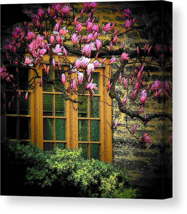 Flowers Canvas Print featuring the photograph Dogwood in the Spring by Joyce Kimble Smith