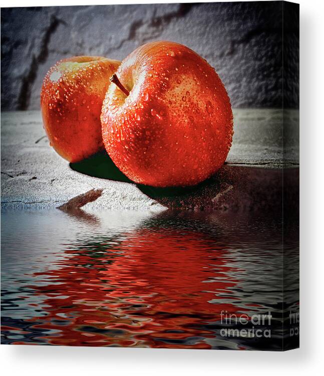 Flood Filter Canvas Print featuring the photograph Fuji Red Flood by Jack Torcello