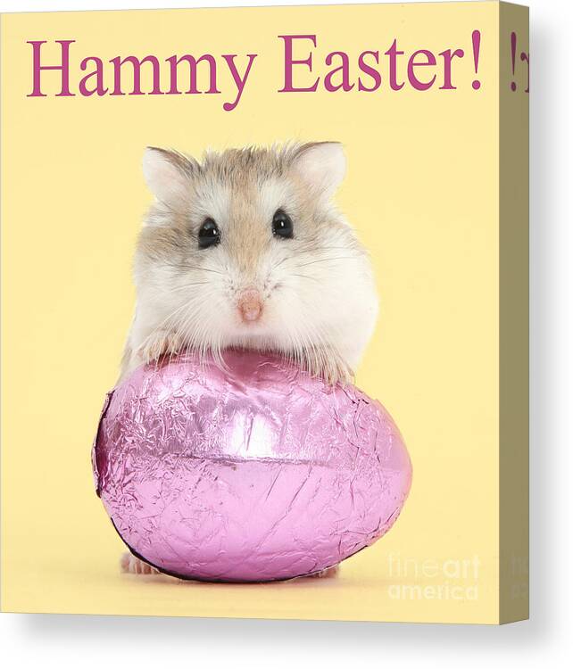 Roborovski Hamster Canvas Print featuring the photograph Hammy Easter by Warren Photographic