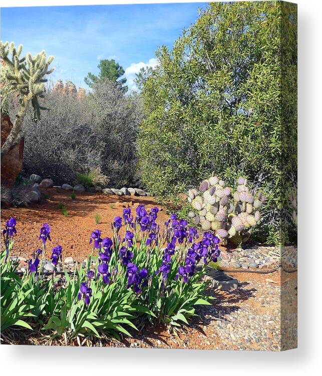Sedona Canvas Print featuring the photograph Iris and Cactus Sedona Spring by Mars Besso