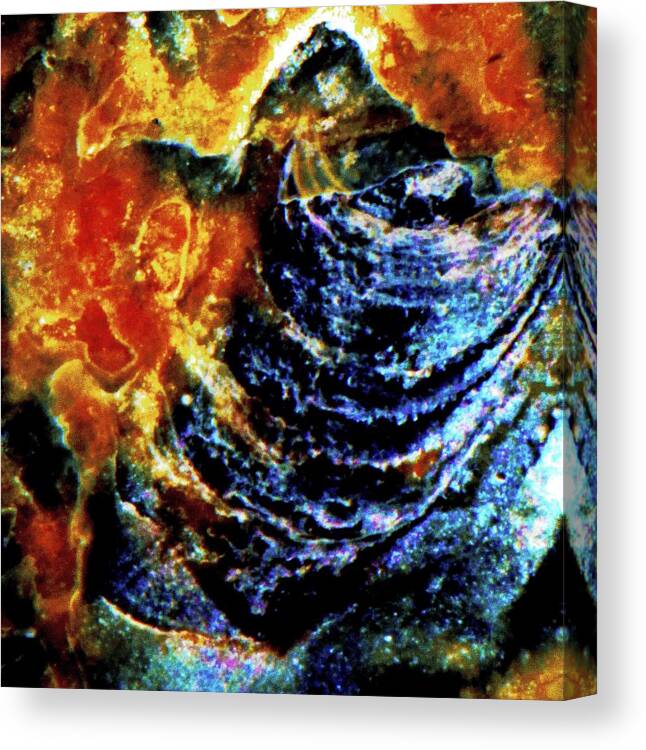 Sea Shell Canvas Print featuring the photograph Lady of the Shell by Gina O'Brien
