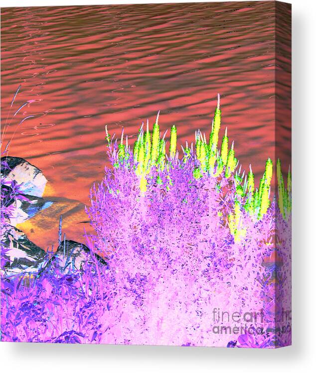 Purple Canvas Print featuring the photograph Lovely by JamieLynn Warber