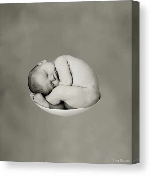 Black And White Canvas Print featuring the photograph Sally Pearl by Anne Geddes