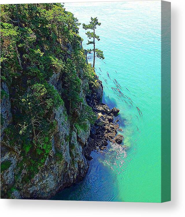 Trees Canvas Print featuring the photograph Sea Moss by Sandra Peery