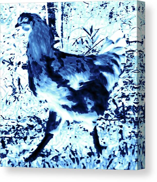 Rooster Canvas Print featuring the photograph Got Legs by Gina O'Brien