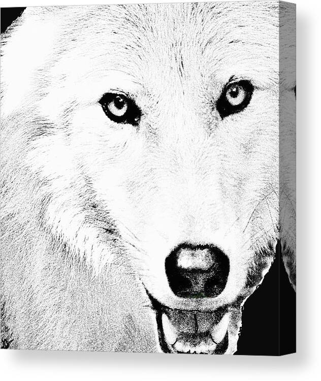 Shy Wolf Canvas Print featuring the drawing Shy Wolf by Debra   Vatalaro