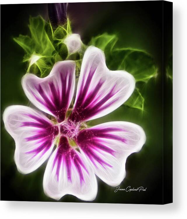 Flower Photographs Canvas Print featuring the photograph Simple Beauty by Joann Copeland-Paul