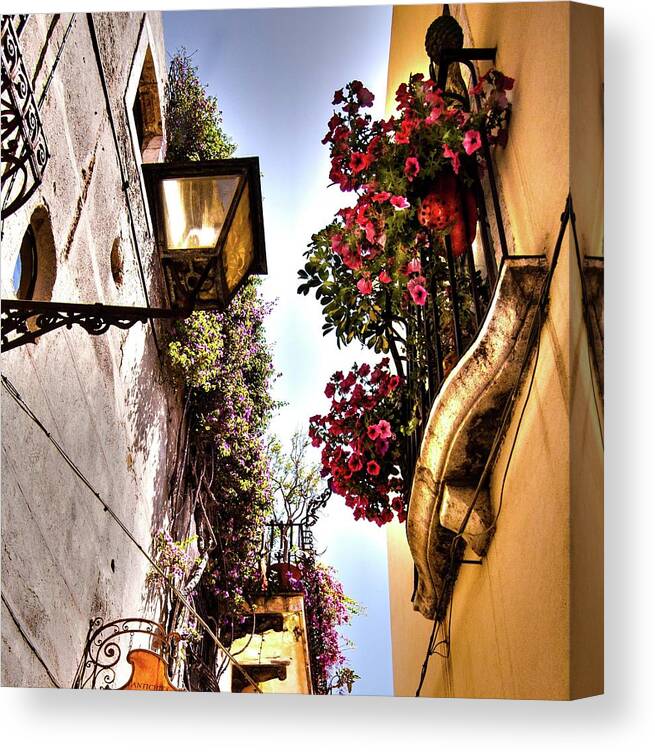 Floral Art Canvas Print featuring the photograph Sorrento Above by Edward Shmunes