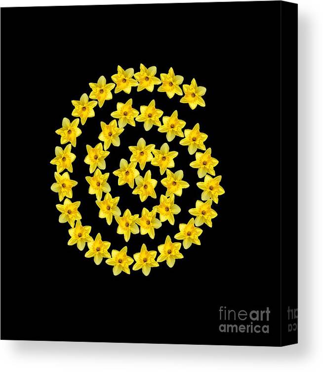 Spiral Canvas Print featuring the photograph Spiral Symbol by Rachel Hannah