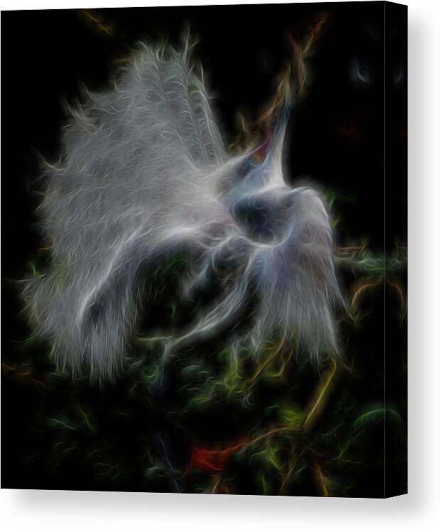 Abstract Canvas Print featuring the digital art Spiritual Plumage by William Horden