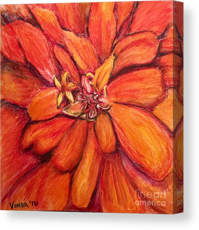Macro Canvas Print featuring the drawing Star Flower by Vonda Lawson-Rosa