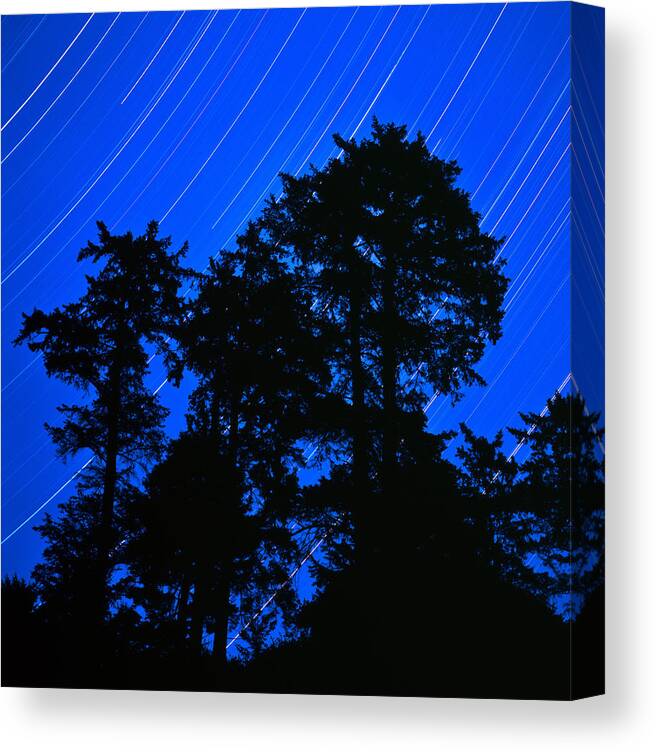 Star Trails Canvas Print featuring the photograph Star Trails Behind Ruby Beach Tree Group by Tim Rayburn
