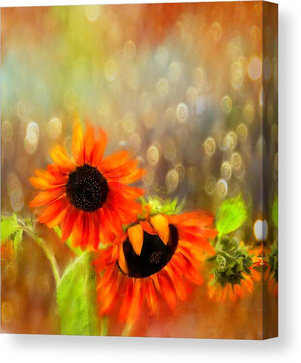 Floral Canvas Print featuring the digital art Sunflower Rain by Sand And Chi