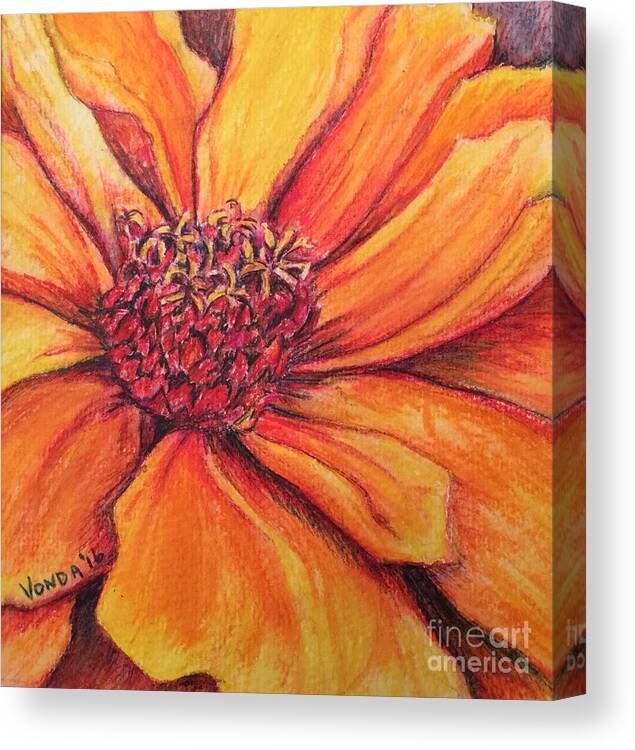 Macro Canvas Print featuring the drawing Sunny Perspective by Vonda Lawson-Rosa