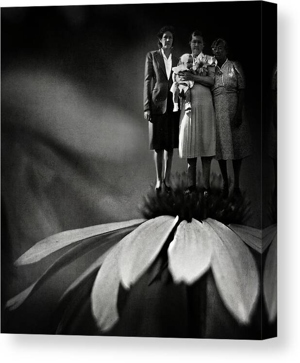 Fairy Canvas Print featuring the photograph Three Fairy Godmothers by Rebecca Sherman