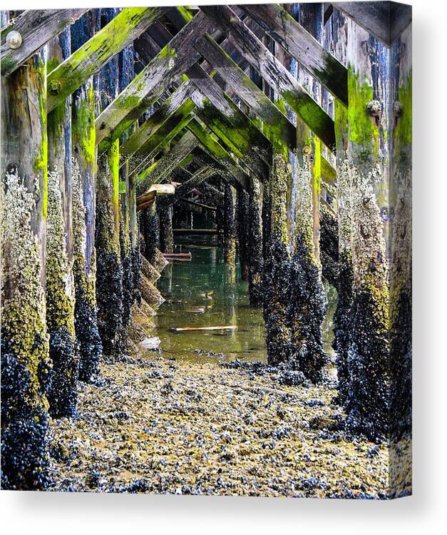 Ocean Canvas Print featuring the photograph Under The Boardwalk by Rand Ningali