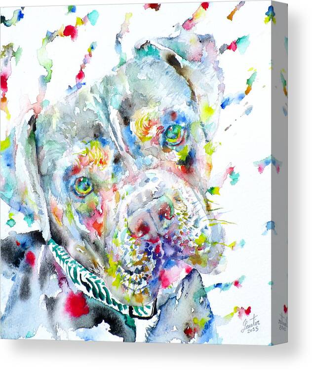 Pit Bull Canvas Print featuring the painting Watercolor Pit Bull.2 by Fabrizio Cassetta