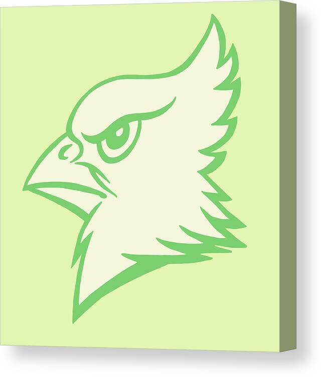 Animal Canvas Print featuring the drawing Bird Profile #1 by CSA Images