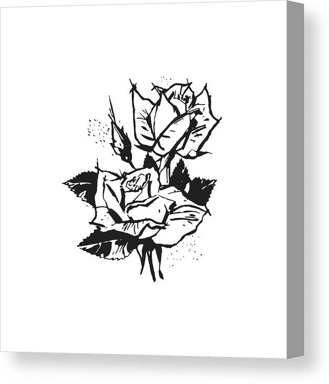 Archive Canvas Print featuring the drawing Two Roses in Bloom #1 by CSA Images