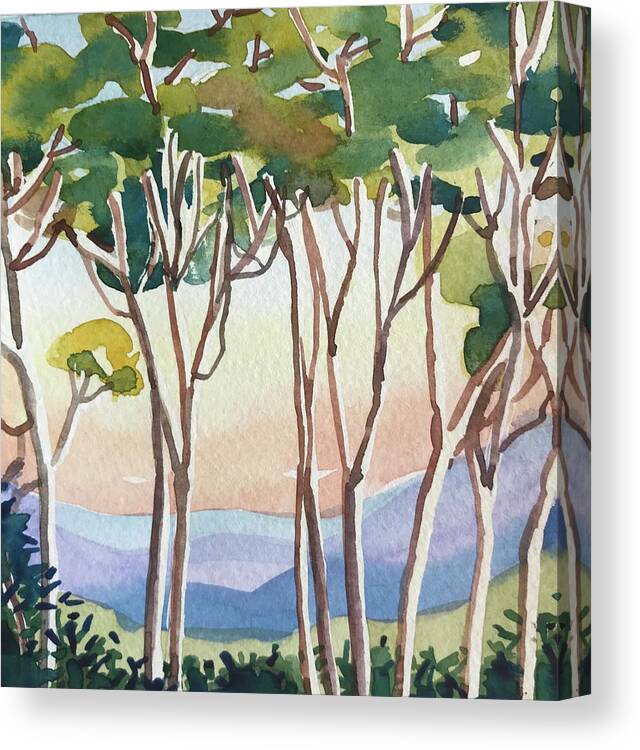Trees Canvas Print featuring the painting Eucalyptus Sunset by Luisa Millicent