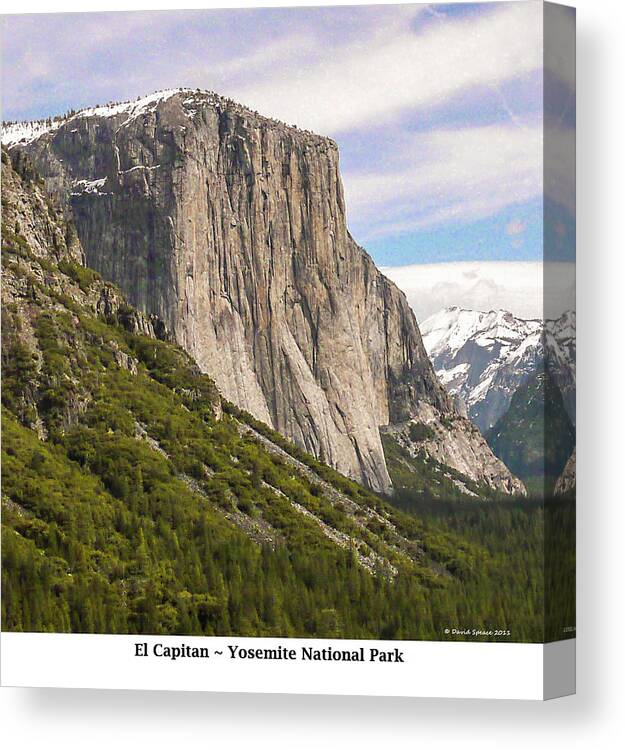 Yosemite National Park Canvas Print featuring the photograph El Capitan by David Speace