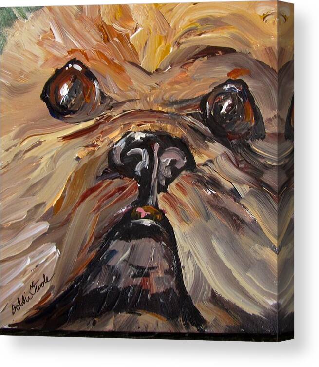 Dog Canvas Print featuring the painting Mr Fuzzy Face by Barbara O'Toole