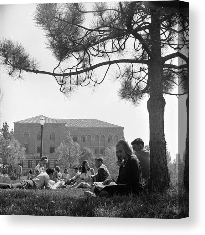 California Canvas Print featuring the photograph Schools US by Martha Holmes
