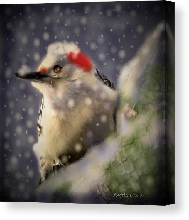 Redbellied Woodpecker Canvas Print featuring the mixed media Welcome Winter by Angela Davies