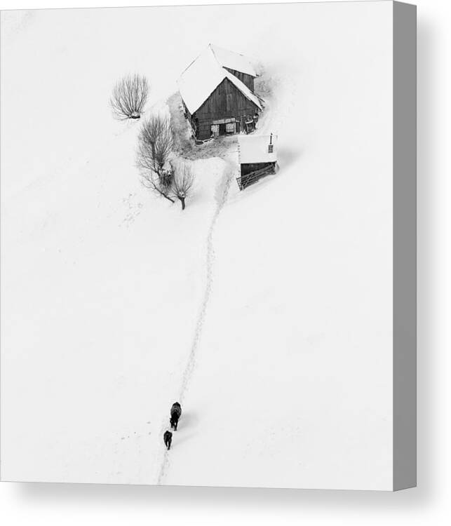 Winter Canvas Print featuring the photograph Winter Story by Lazar Ioan Ovidiu