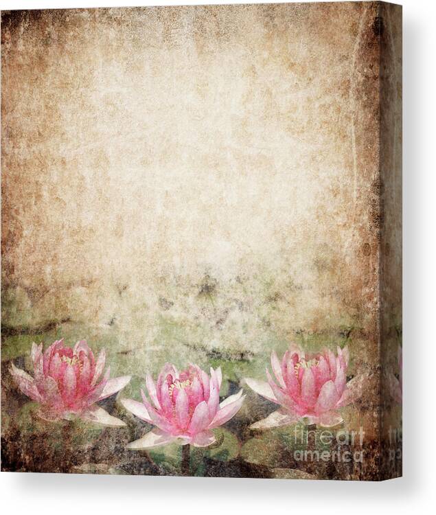 Flower Canvas Print featuring the photograph Water Lily #1 by Jelena Jovanovic