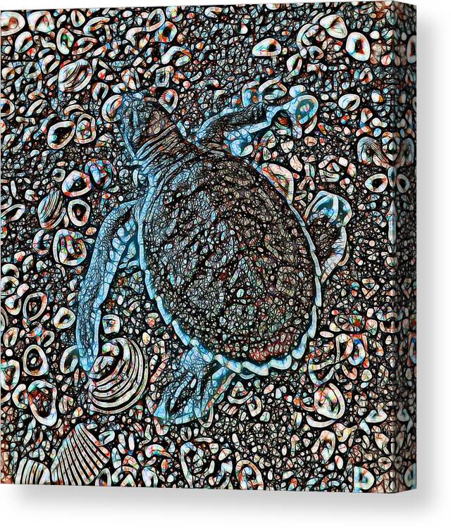 Turtle Canvas Print featuring the mixed media Abstract Patterned Baby Flatback Turtles One OF Two by Joan Stratton
