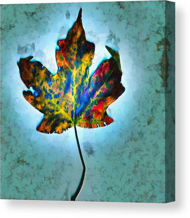 Leaf Canvas Print featuring the mixed media Colorful Leaf by Christopher Reed