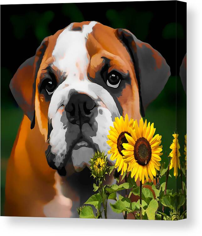 French Bulldog Canvas Print featuring the mixed media Hey Bulldog by Marvin Blaine