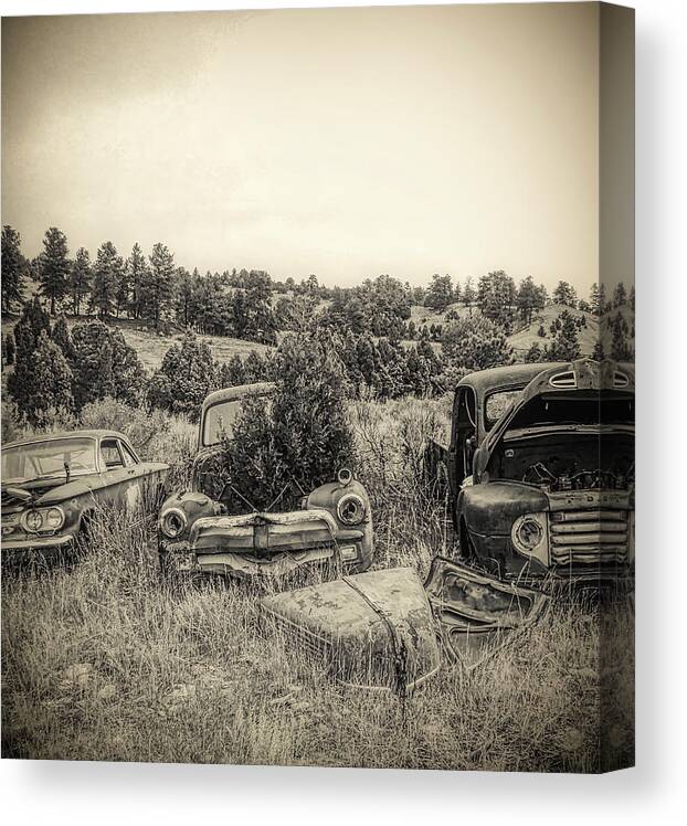 Junked Trucks Canvas Print featuring the photograph Junked Pickups Pine trees by Cathy Anderson