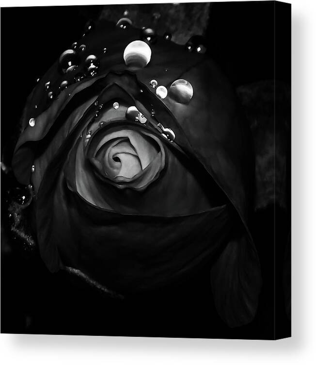 Rose Canvas Print featuring the photograph Light In The Center by Gena Herro