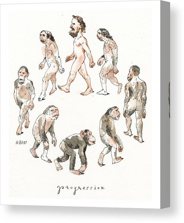 New Breakthrough In Understanding Darwin's Theory Canvas Print featuring the painting New Breakthrough in Understanding Darwin's Theory by Barry Blitt