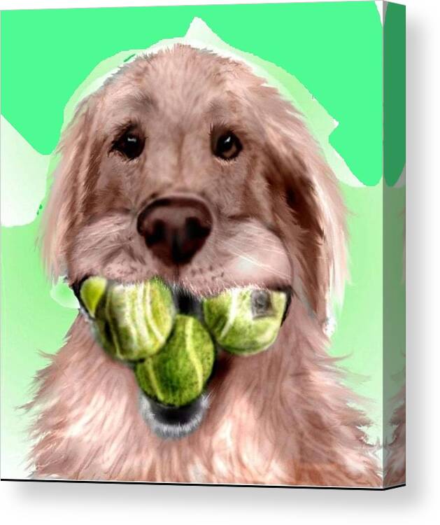 Golden Retriever Tennis Balls Fetching Fetch Funny Caricature Pencil Sketch Mixed Media Canvas Print featuring the mixed media Nuts for Tennis by Pamela Calhoun