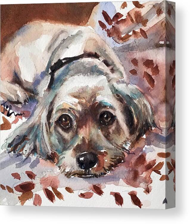 Dog Canvas Print featuring the painting Patience by Judith Levins