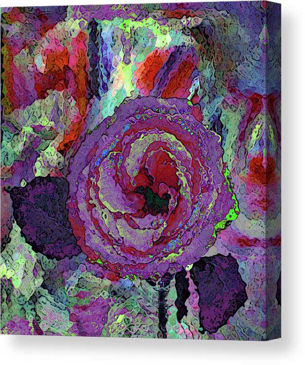 Rose Canvas Print featuring the photograph Rose of Purple in Multicolor Bloom by Corinne Carroll